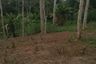 Land for sale in Lantud, Bukidnon