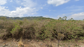 Land for sale in Santo Tomas, Ilocos Sur