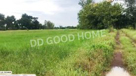 Land for sale in Nong Bua, Nakhon Sawan