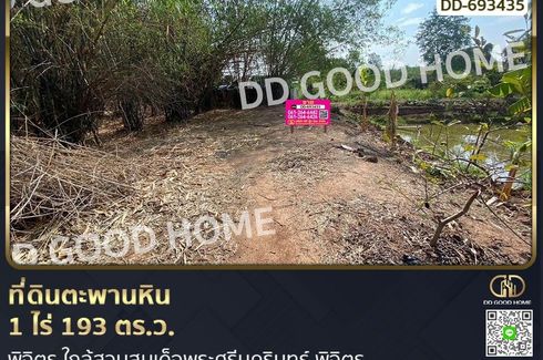 Land for sale in Huai Ket, Phichit