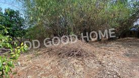 Land for sale in Huai Ket, Phichit