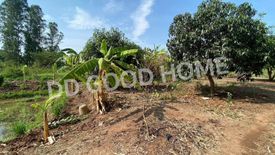 Land for sale in Huai Ket, Phichit