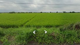 Land for sale in Matatalaib, Tarlac