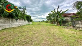 Land for rent in Anupul, Tarlac