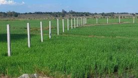 Land for sale in Santo Rosario, Tarlac