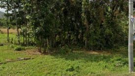 Land for sale in Lomangog, Bohol