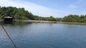 Land for sale in Poblacion, Surigao del Sur