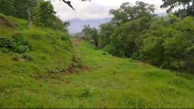 Land for sale in Tabunan, Cebu