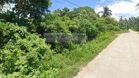 Land for sale in Bil-Isan, Bohol