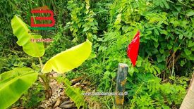 Land for sale in Bang Wa, Bangkok near MRT Phetkasem 48