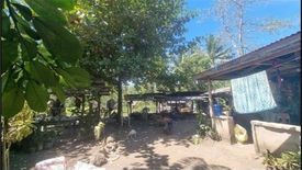 Land for sale in Duyan, Cebu