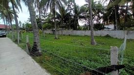 Land for sale in Looc, Negros Oriental