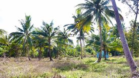 Land for sale in Berong, Palawan