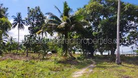 Land for sale in Berong, Palawan