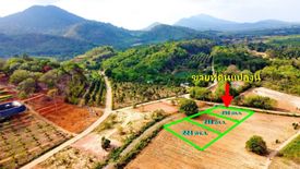 Land for sale in Klaeng, Rayong