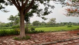 Land for sale in Don Jose, Laguna