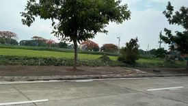 Land for sale in Don Jose, Laguna