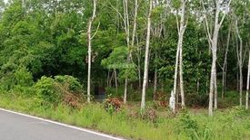 Land for sale in Thung Tam Sao, Songkhla