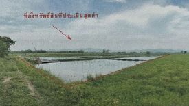 Land for sale in Mae Pu Kha, Chiang Mai