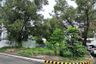 Land for sale in McKinley Hill, Metro Manila