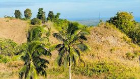 2 Bedroom House for sale in Upper Cabangcalan, Siquijor