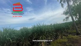 Land for sale in Wang Sai, Nakhon Ratchasima