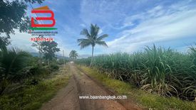 Land for sale in Wang Sai, Nakhon Ratchasima