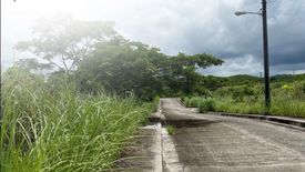 Land for sale in Cogon, Cebu