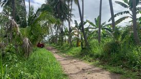 Land for sale in Tugawe, Negros Oriental