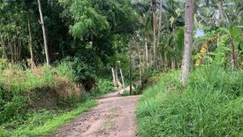 Land for sale in Tugawe, Negros Oriental