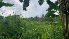 Land for sale in Tugawe, Negros Oriental