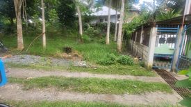 Land for sale in Dao, Bohol