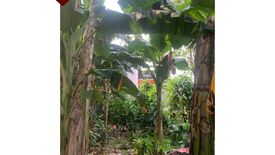Tanah dijual dengan  di Bangka, Jakarta