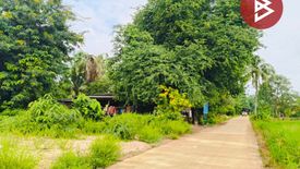 Land for sale in Nong Prue, Chonburi