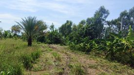 Land for sale in Khlong Ket, Lopburi