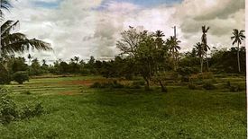 Land for sale in Lomangog, Bohol