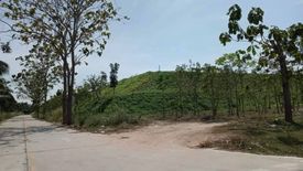 Land for sale in Maenam Khu, Rayong