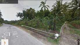 Land for sale in Del Carmen Norte, Bohol