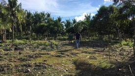 Land for sale in Poblacion, Cebu