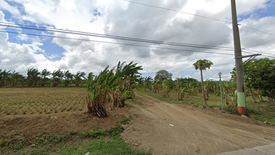 Land for sale in Gov. Ferrer Poblacion, Cavite