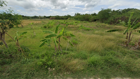 Land for sale in Laiya-Ibabao, Batangas