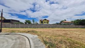 Land for sale in Almanza Dos, Metro Manila