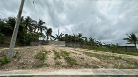 Land for sale in Lagtang, Cebu