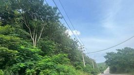 Land for sale in Nong Irun, Chonburi