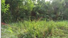 Land for sale in Javalera, Cavite