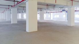 Commercial for rent in Cebu IT Park, Cebu