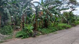 Land for sale in Sampaloc II, Cavite