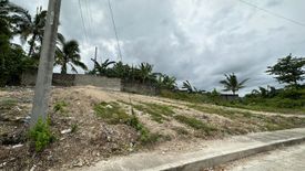 Land for sale in Bulacao, Cebu