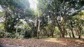 Land for sale in Anvaya Cove, Mabatang, Bataan