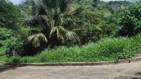 Land for sale in Talamban, Cebu